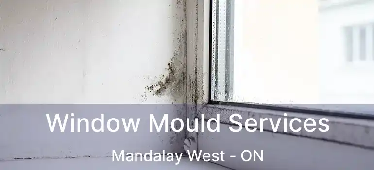  Window Mould Services Mandalay West - ON