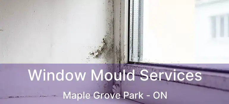  Window Mould Services Maple Grove Park - ON
