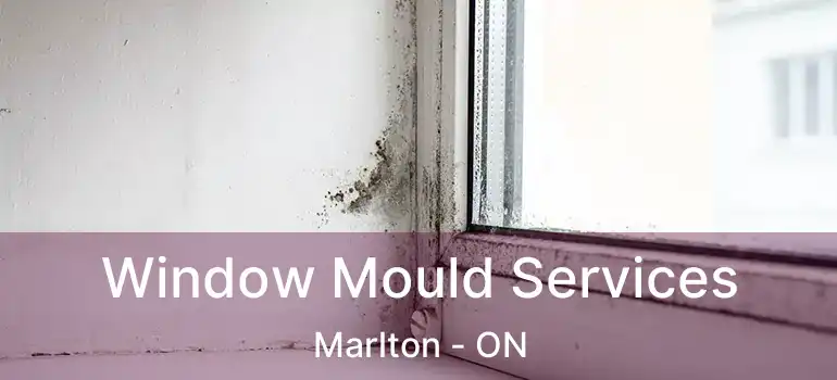  Window Mould Services Marlton - ON