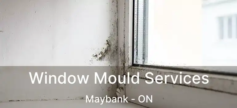  Window Mould Services Maybank - ON
