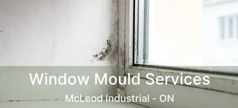  Window Mould Services McLeod Industrial - ON