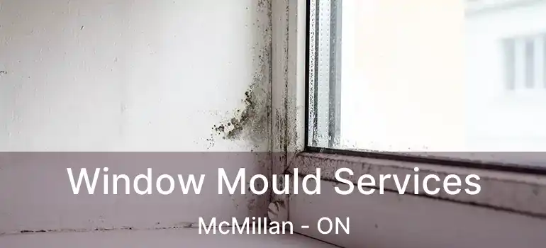  Window Mould Services McMillan - ON