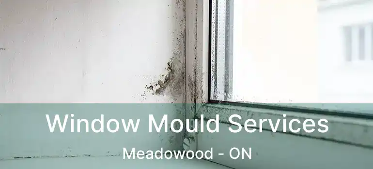 Window Mould Services Meadowood - ON
