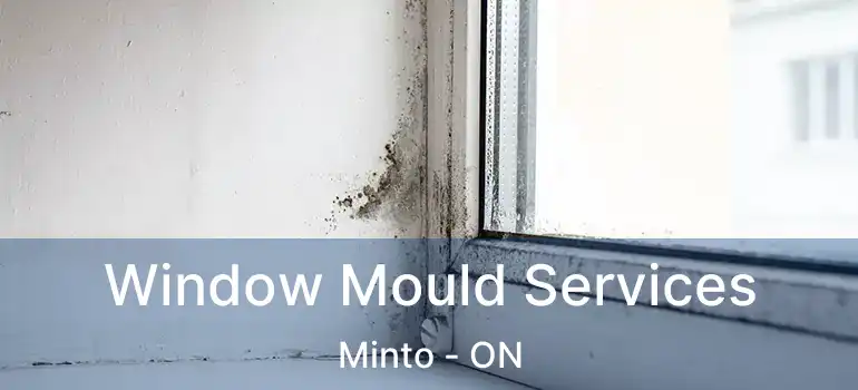  Window Mould Services Minto - ON