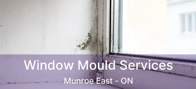  Window Mould Services Munroe East - ON