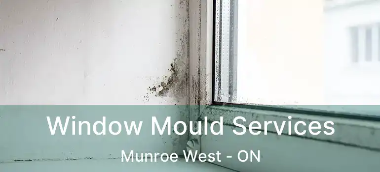  Window Mould Services Munroe West - ON
