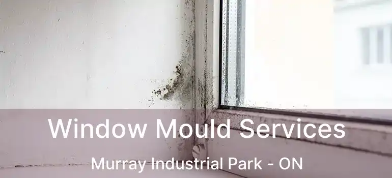  Window Mould Services Murray Industrial Park - ON