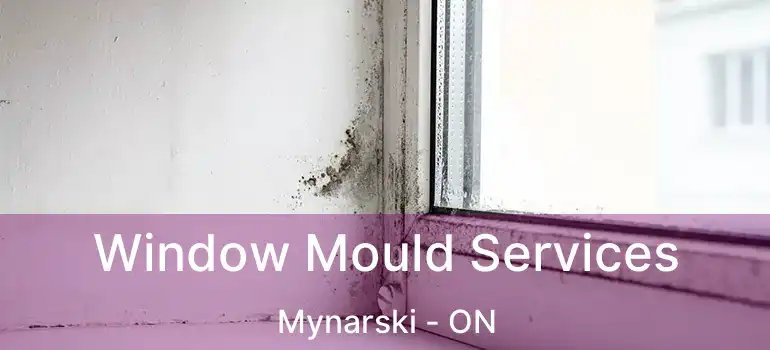 Window Mould Services Mynarski - ON