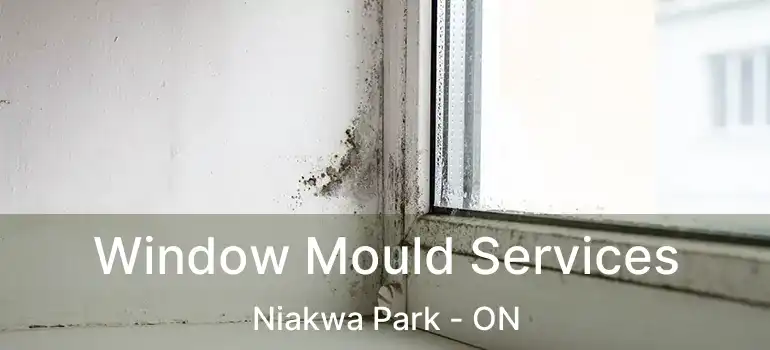  Window Mould Services Niakwa Park - ON