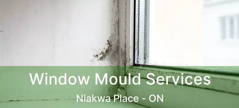  Window Mould Services Niakwa Place - ON