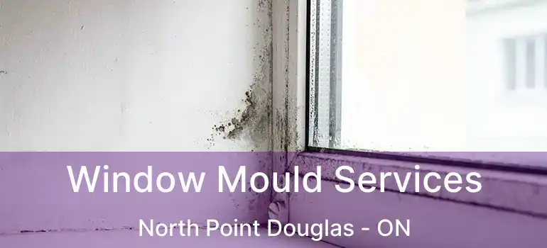  Window Mould Services North Point Douglas - ON