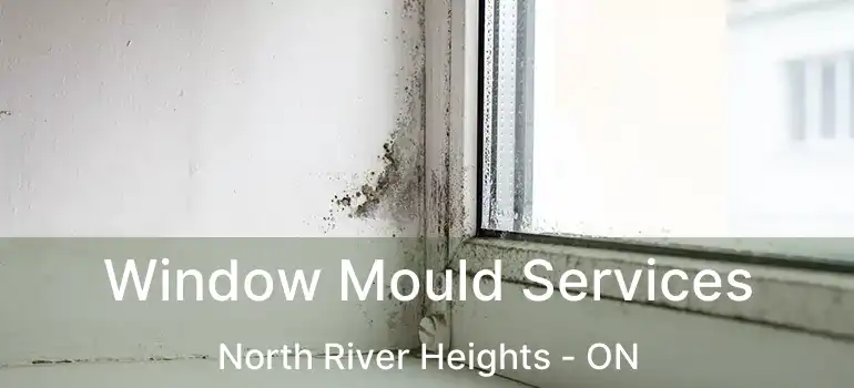  Window Mould Services North River Heights - ON