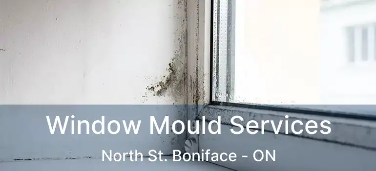  Window Mould Services North St. Boniface - ON