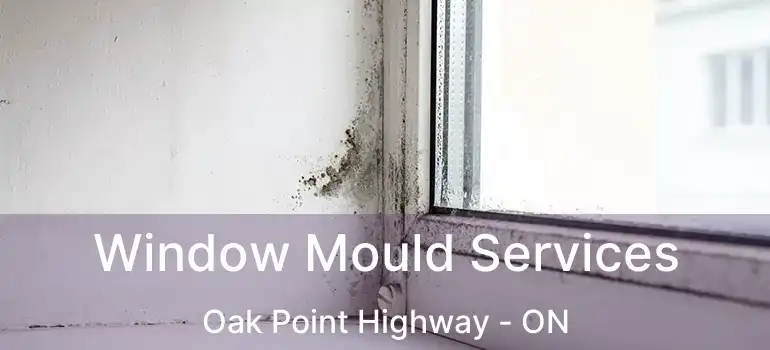  Window Mould Services Oak Point Highway - ON