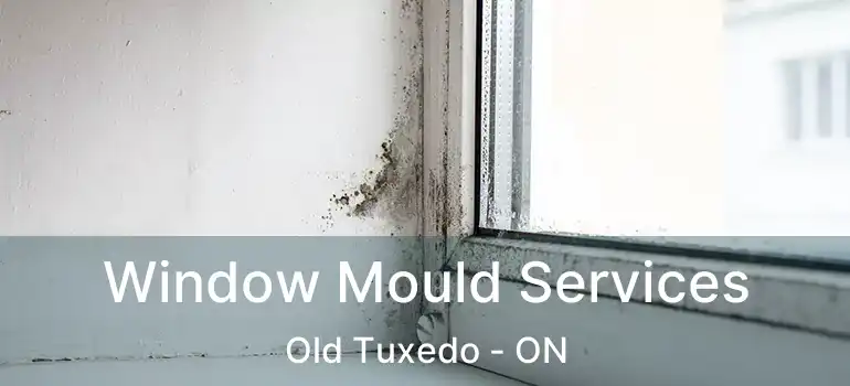  Window Mould Services Old Tuxedo - ON