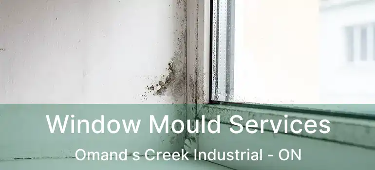  Window Mould Services Omand s Creek Industrial - ON