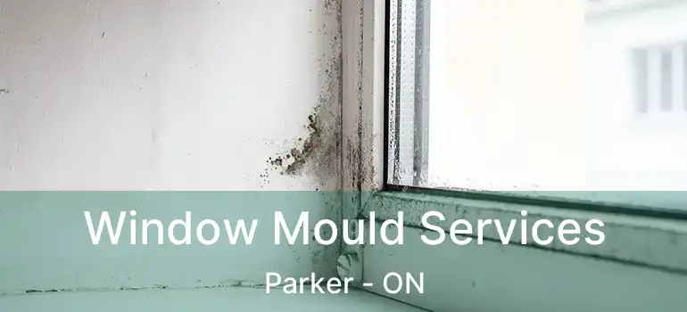  Window Mould Services Parker - ON
