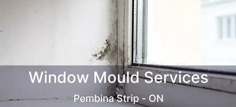  Window Mould Services Pembina Strip - ON