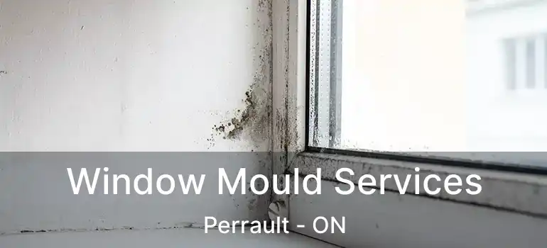  Window Mould Services Perrault - ON