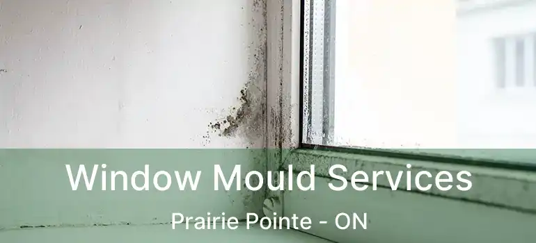  Window Mould Services Prairie Pointe - ON