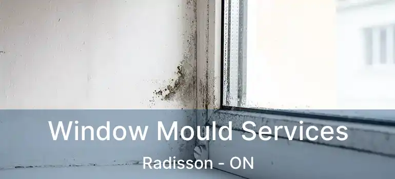  Window Mould Services Radisson - ON