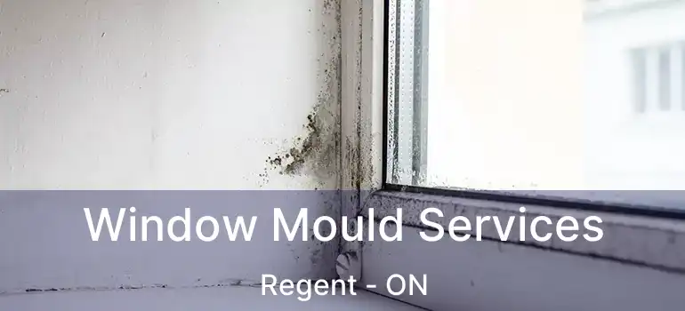  Window Mould Services Regent - ON