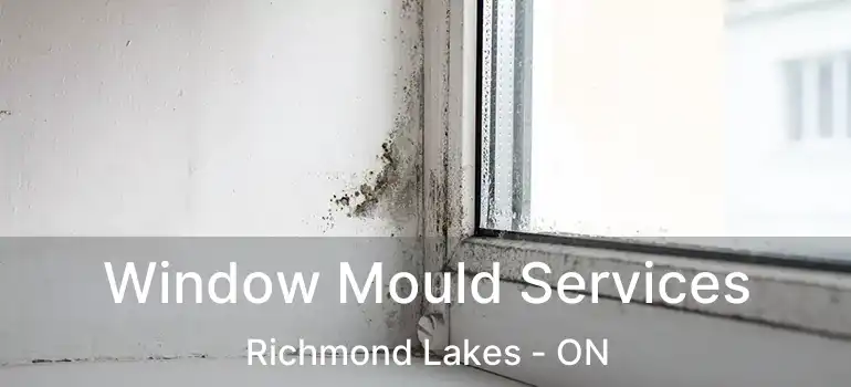 Window Mould Services Richmond Lakes - ON