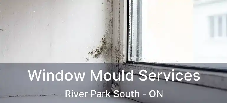  Window Mould Services River Park South - ON