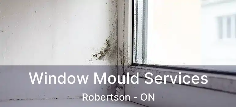  Window Mould Services Robertson - ON