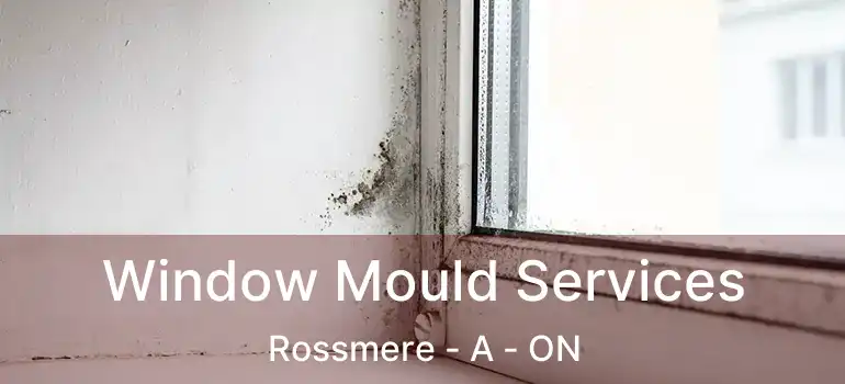  Window Mould Services Rossmere - A - ON