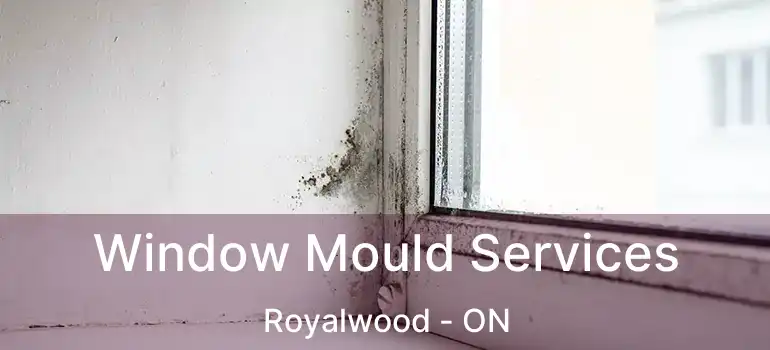  Window Mould Services Royalwood - ON