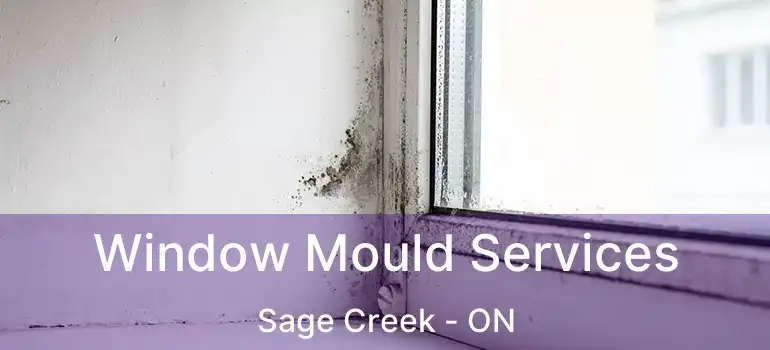  Window Mould Services Sage Creek - ON