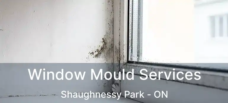 Window Mould Services Shaughnessy Park - ON