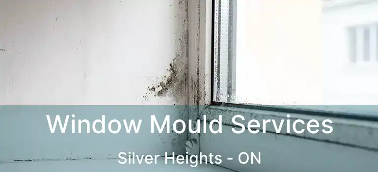  Window Mould Services Silver Heights - ON