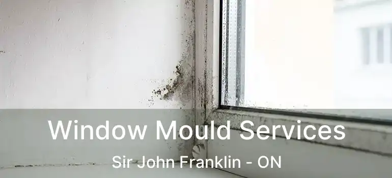 Window Mould Services Sir John Franklin - ON