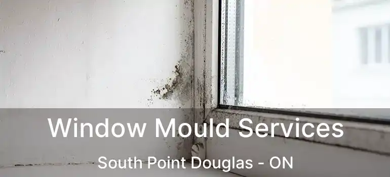  Window Mould Services South Point Douglas - ON