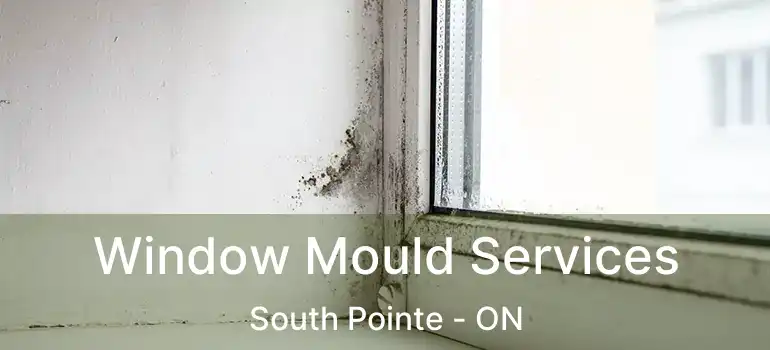  Window Mould Services South Pointe - ON