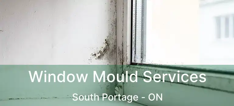  Window Mould Services South Portage - ON
