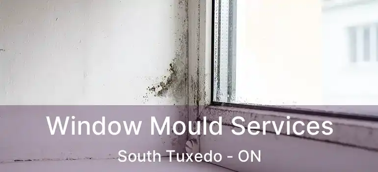  Window Mould Services South Tuxedo - ON
