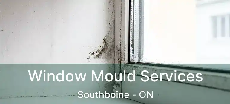  Window Mould Services Southboine - ON