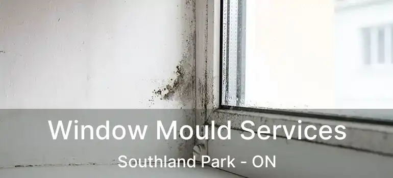  Window Mould Services Southland Park - ON