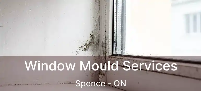  Window Mould Services Spence - ON
