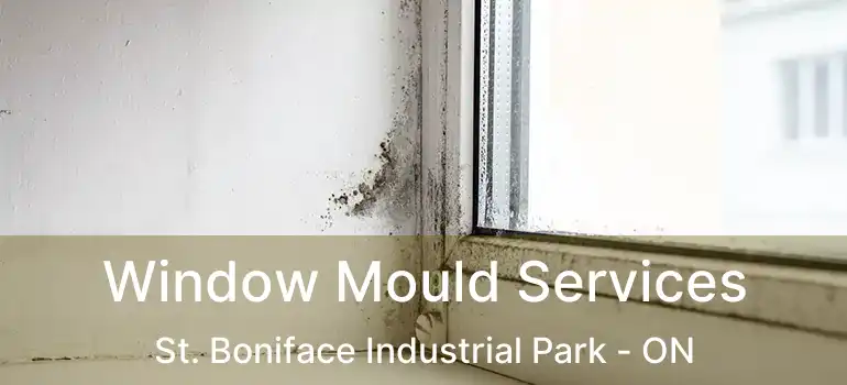  Window Mould Services St. Boniface Industrial Park - ON