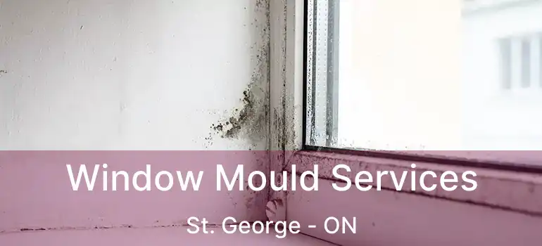  Window Mould Services St. George - ON