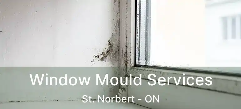  Window Mould Services St. Norbert - ON