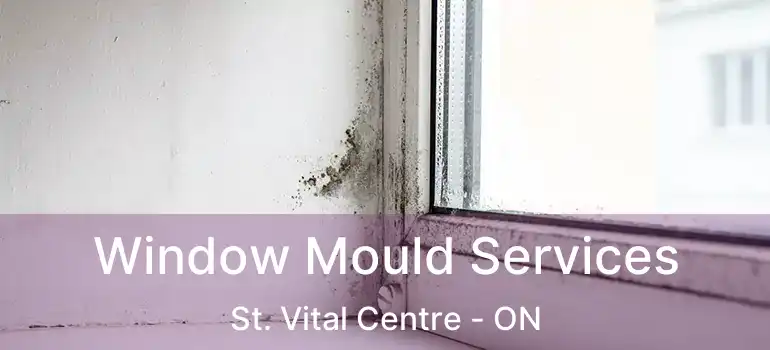  Window Mould Services St. Vital Centre - ON