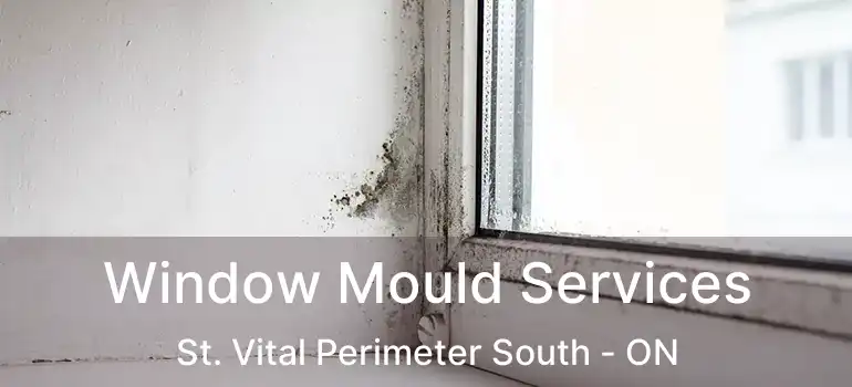  Window Mould Services St. Vital Perimeter South - ON