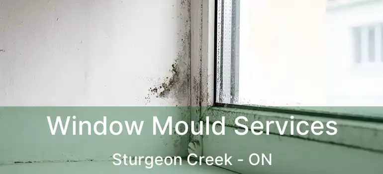  Window Mould Services Sturgeon Creek - ON