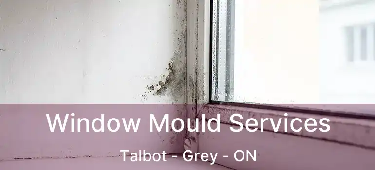  Window Mould Services Talbot - Grey - ON