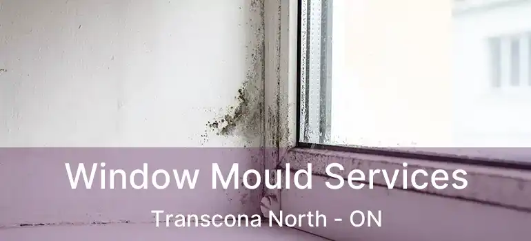  Window Mould Services Transcona North - ON